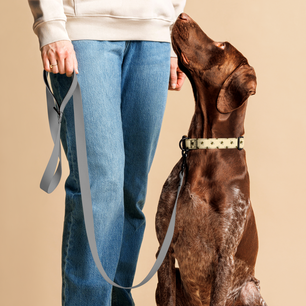 Bee Mine Collar Animal prints