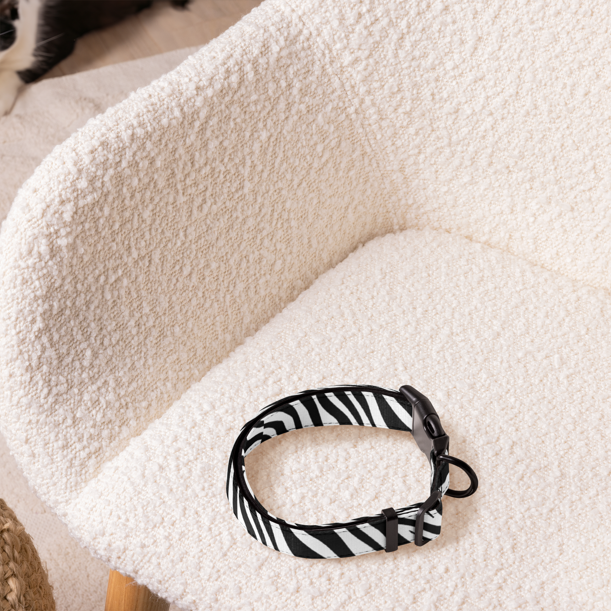 Zeb-Raawr Collar My Store