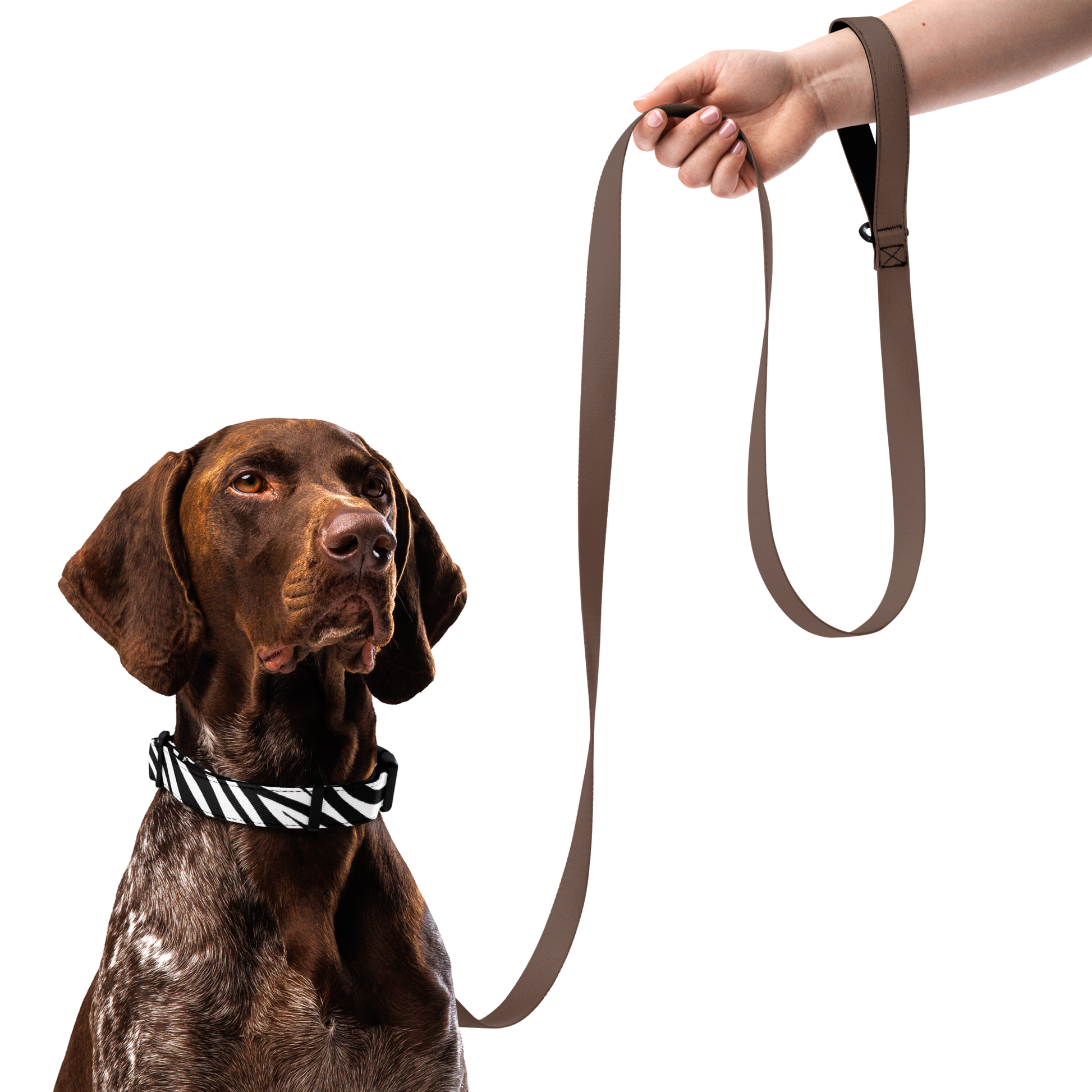 Zeb-Raawr Collar My Store