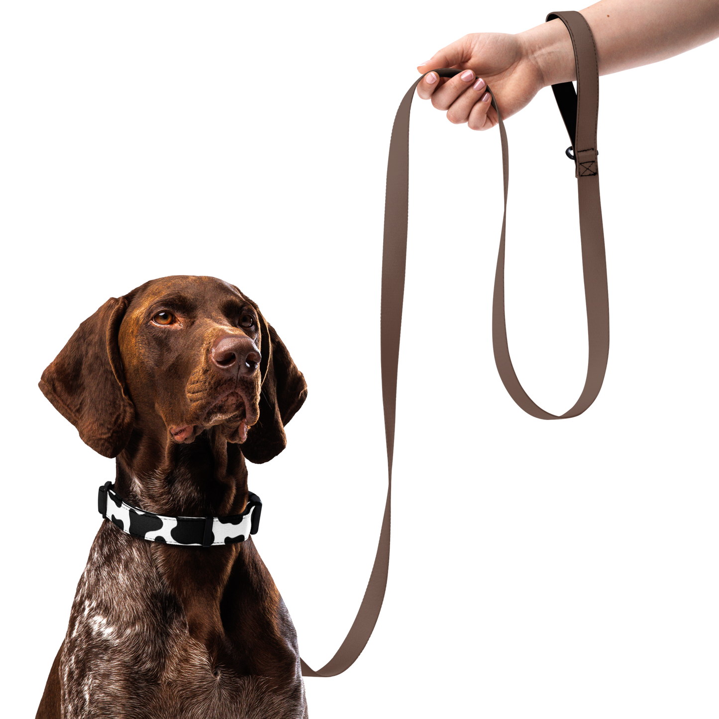 Moo-dy Pup Collar